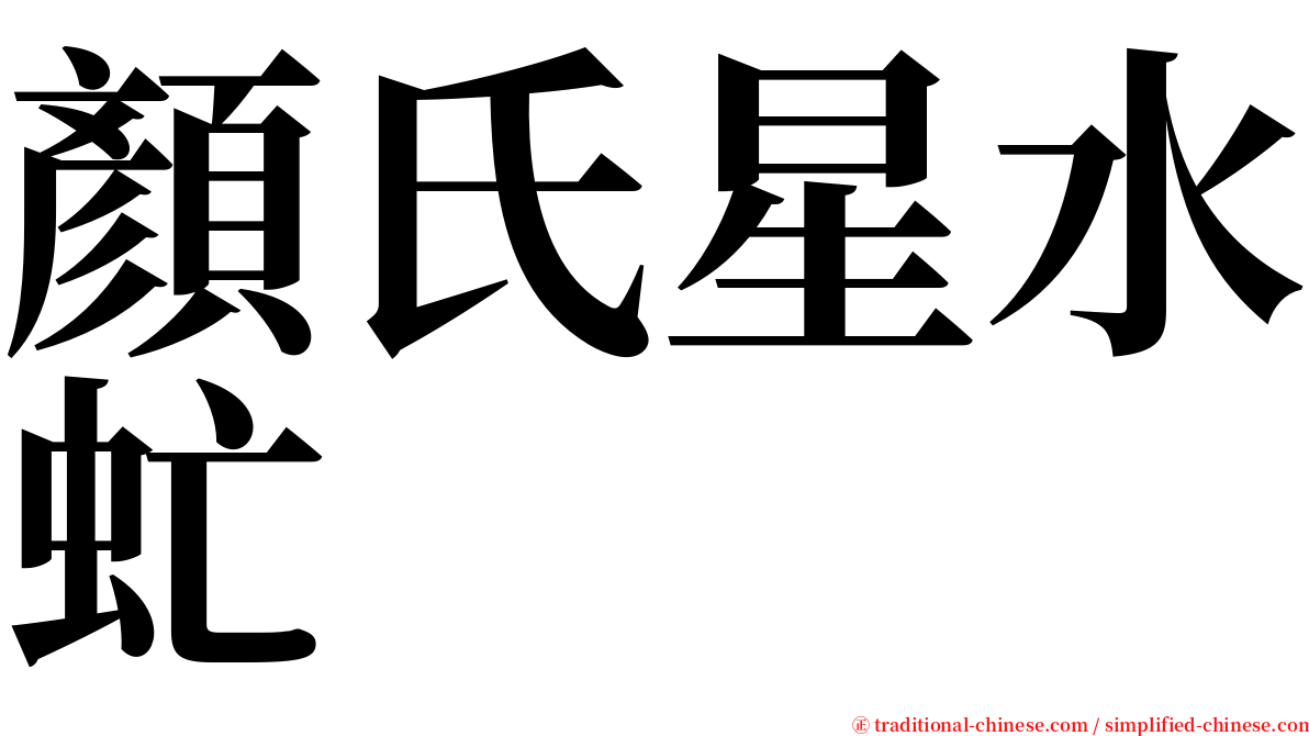 顏氏星水虻 serif font