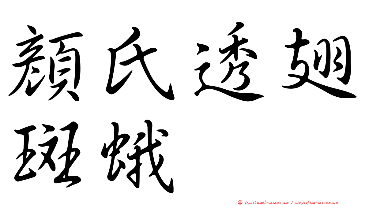 顏氏透翅斑蛾