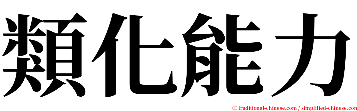 類化能力 serif font