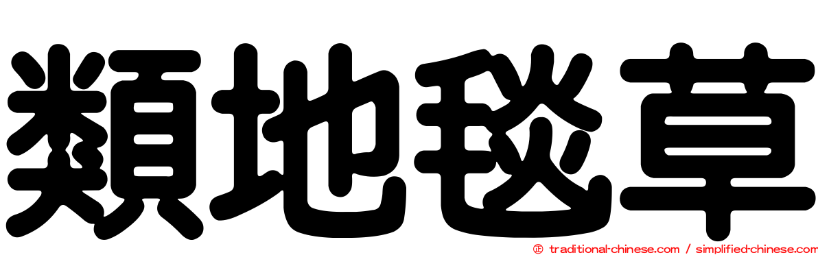 類地毯草