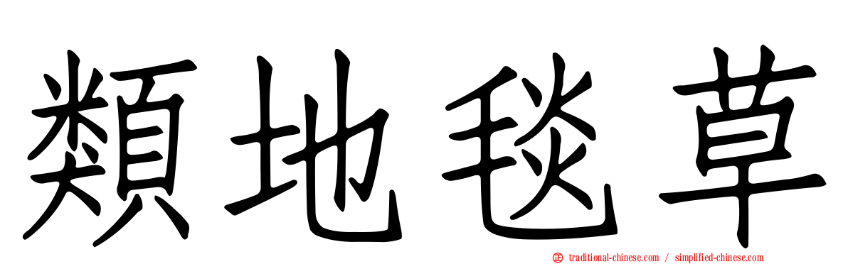 類地毯草