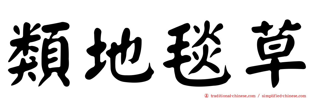 類地毯草