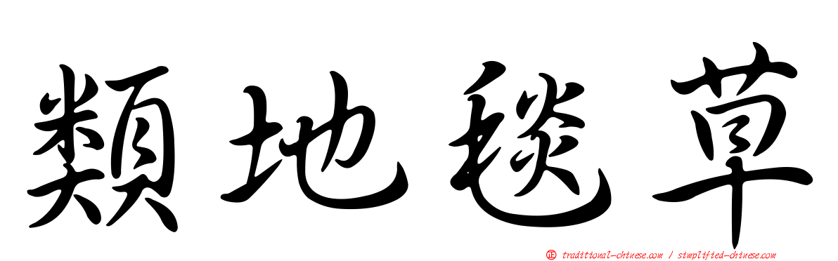 類地毯草