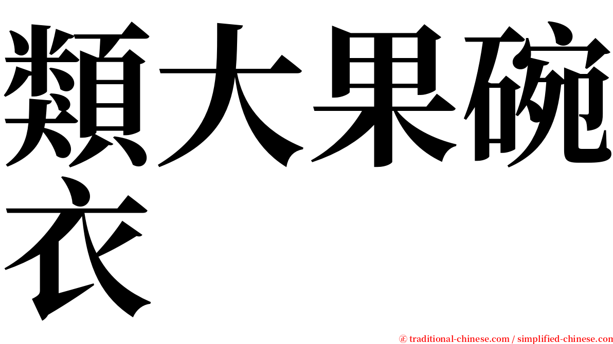 類大果碗衣 serif font