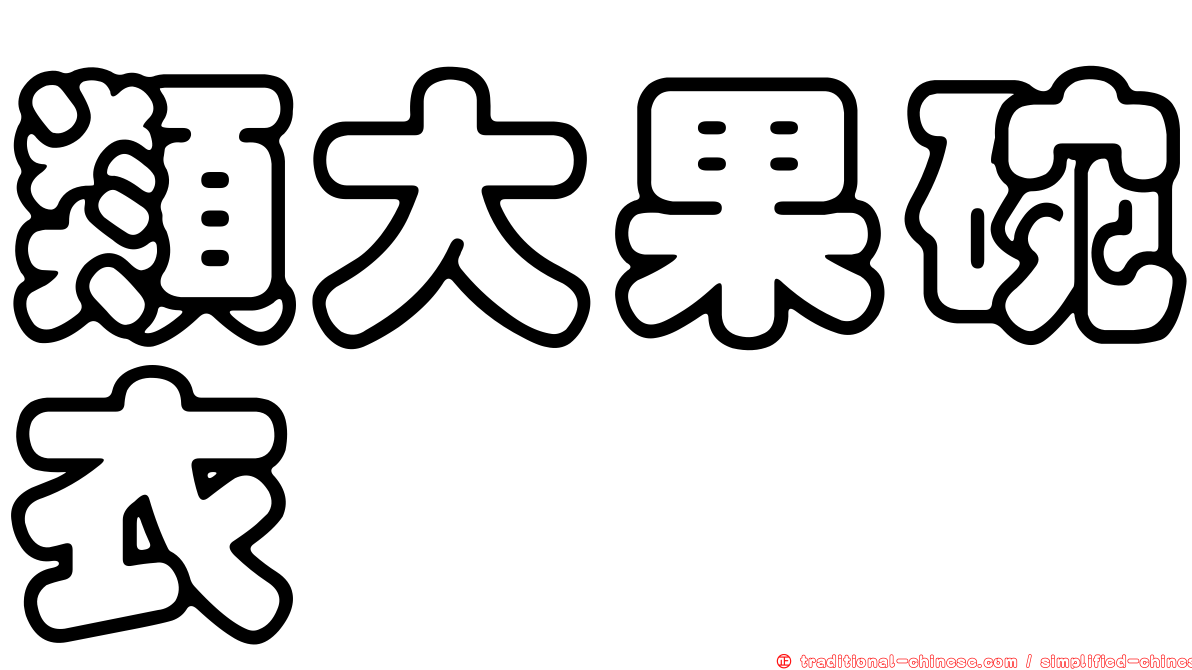 類大果碗衣