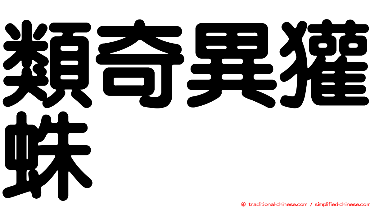 類奇異獾蛛