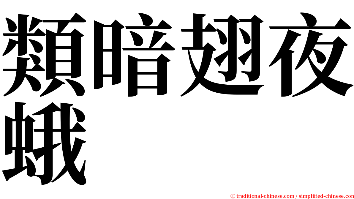 類暗翅夜蛾 serif font