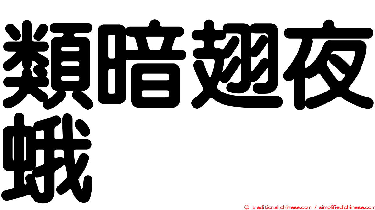 類暗翅夜蛾