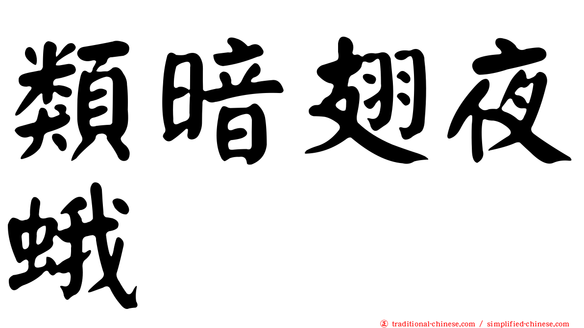 類暗翅夜蛾