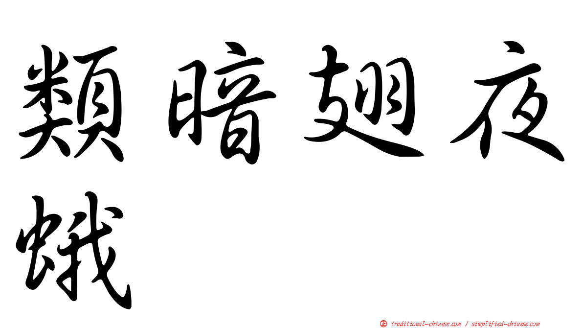 類暗翅夜蛾