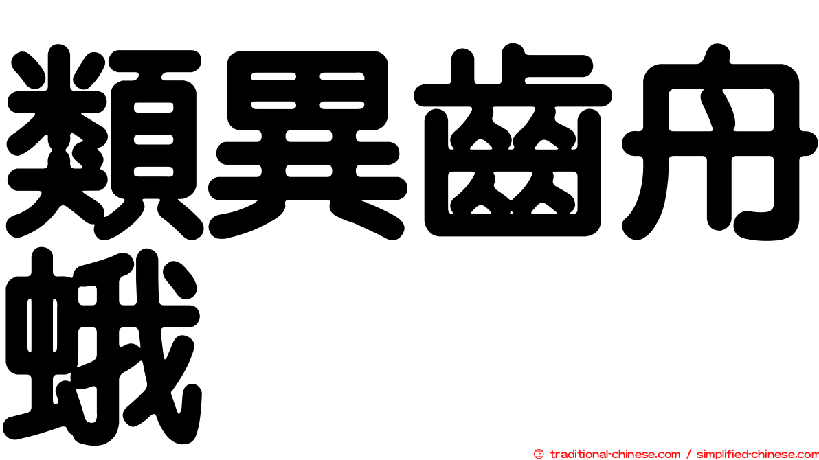 類異齒舟蛾