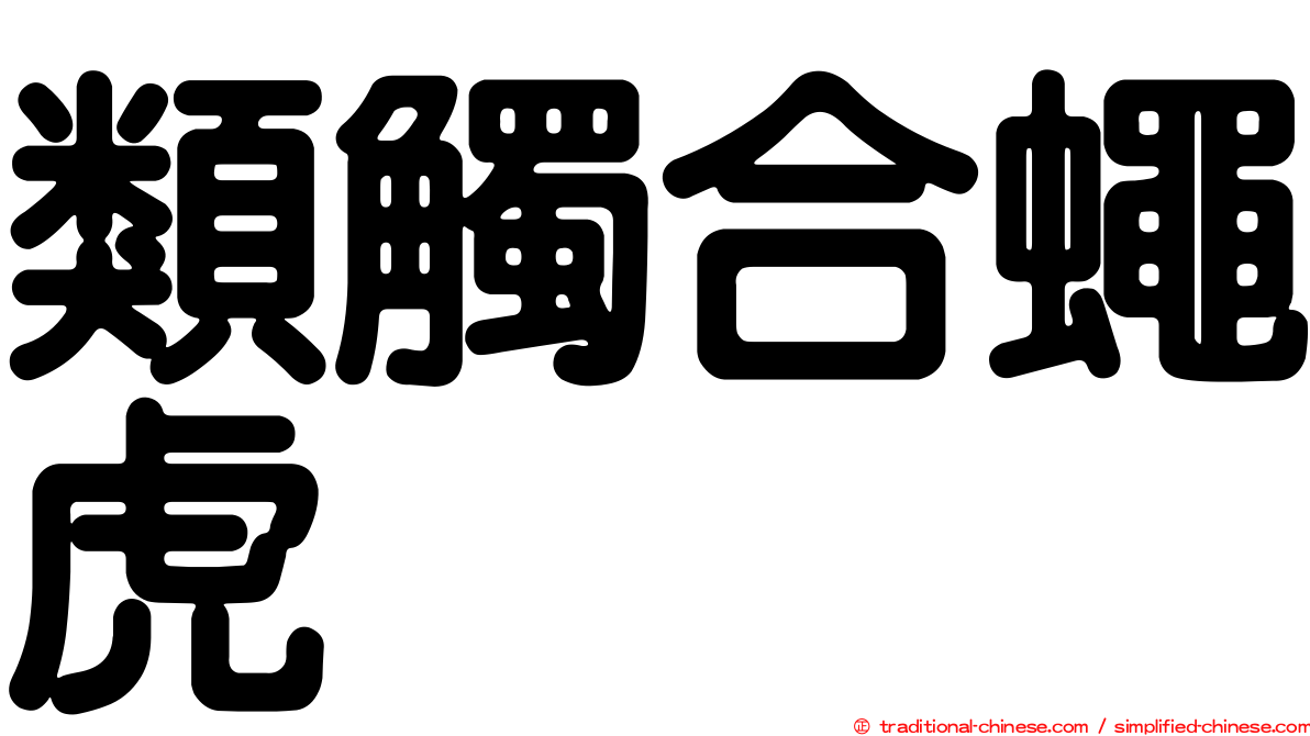 類觸合蠅虎