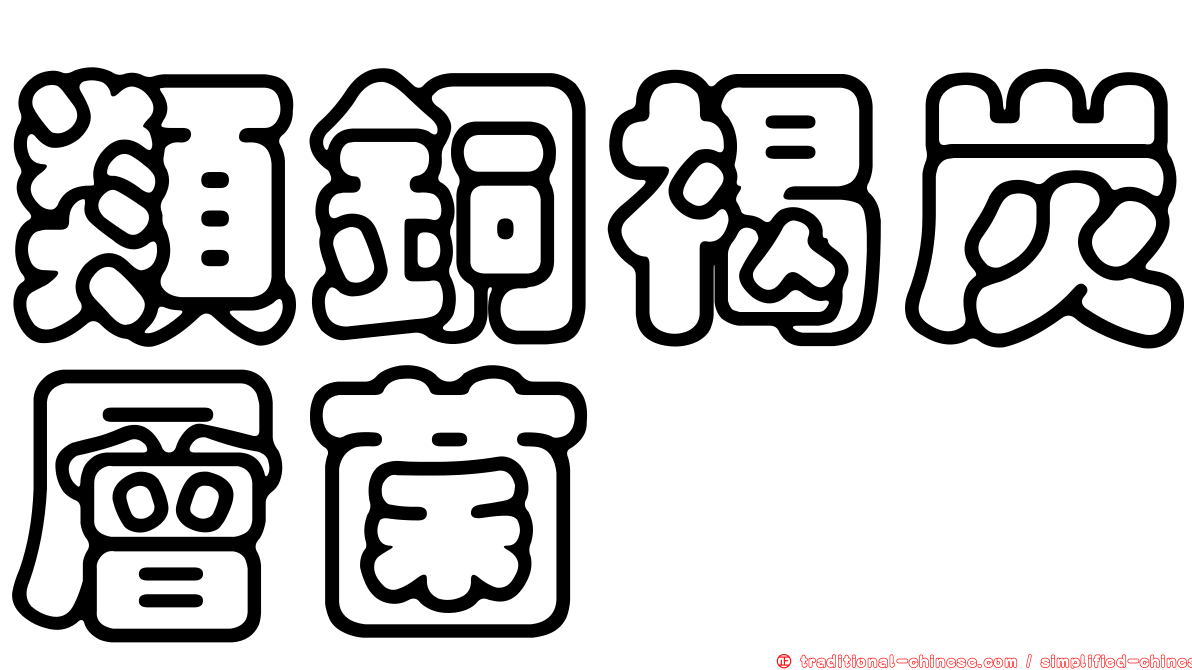 類銅褐炭層菌