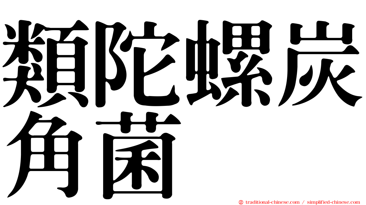 類陀螺炭角菌