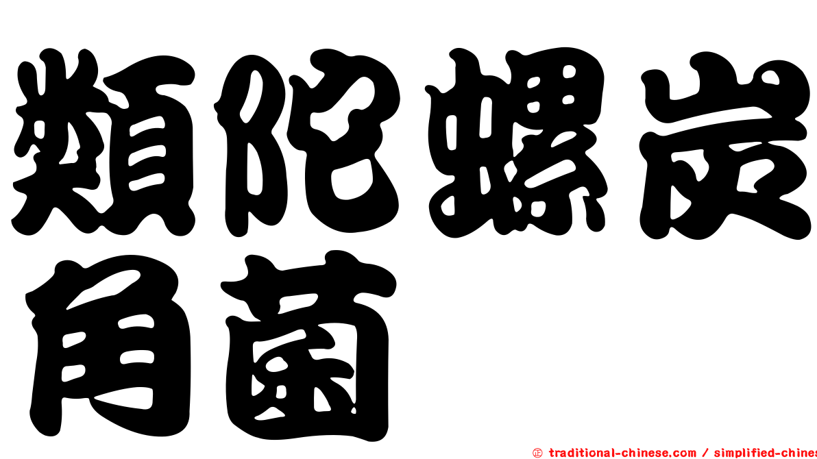 類陀螺炭角菌