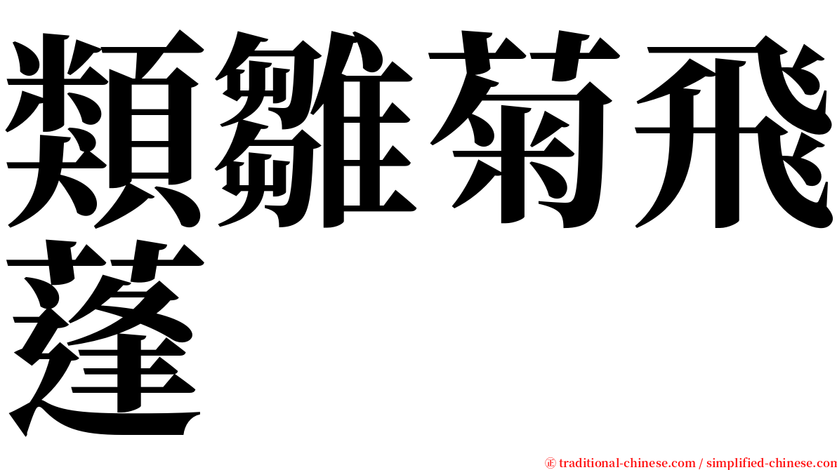 類雛菊飛蓬 serif font