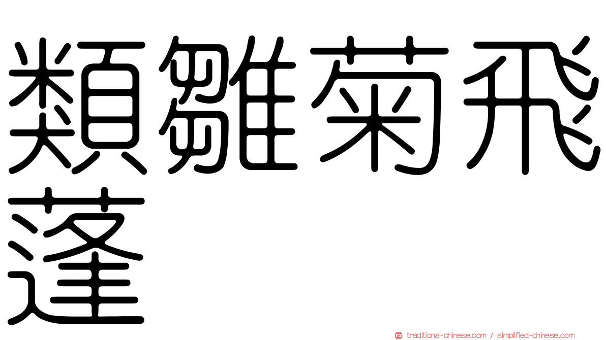 類雛菊飛蓬