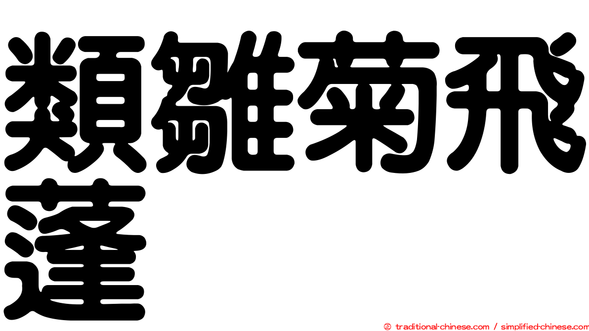 類雛菊飛蓬