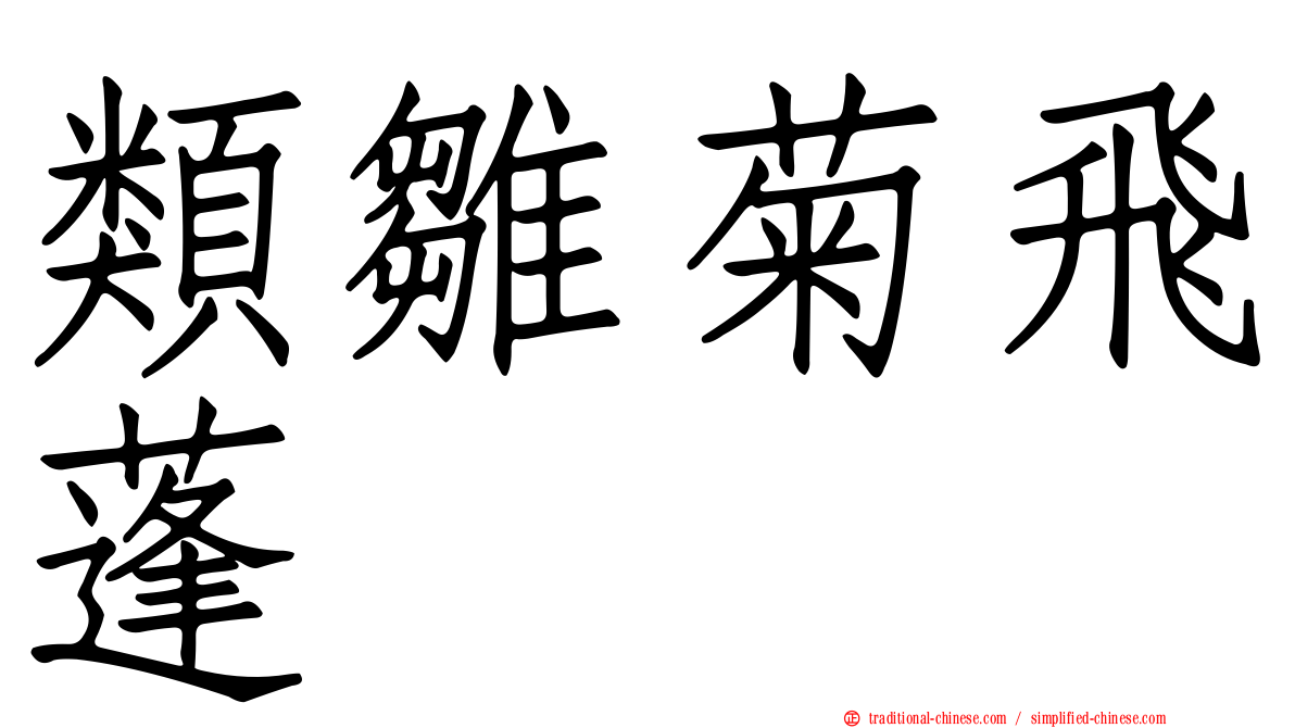 類雛菊飛蓬