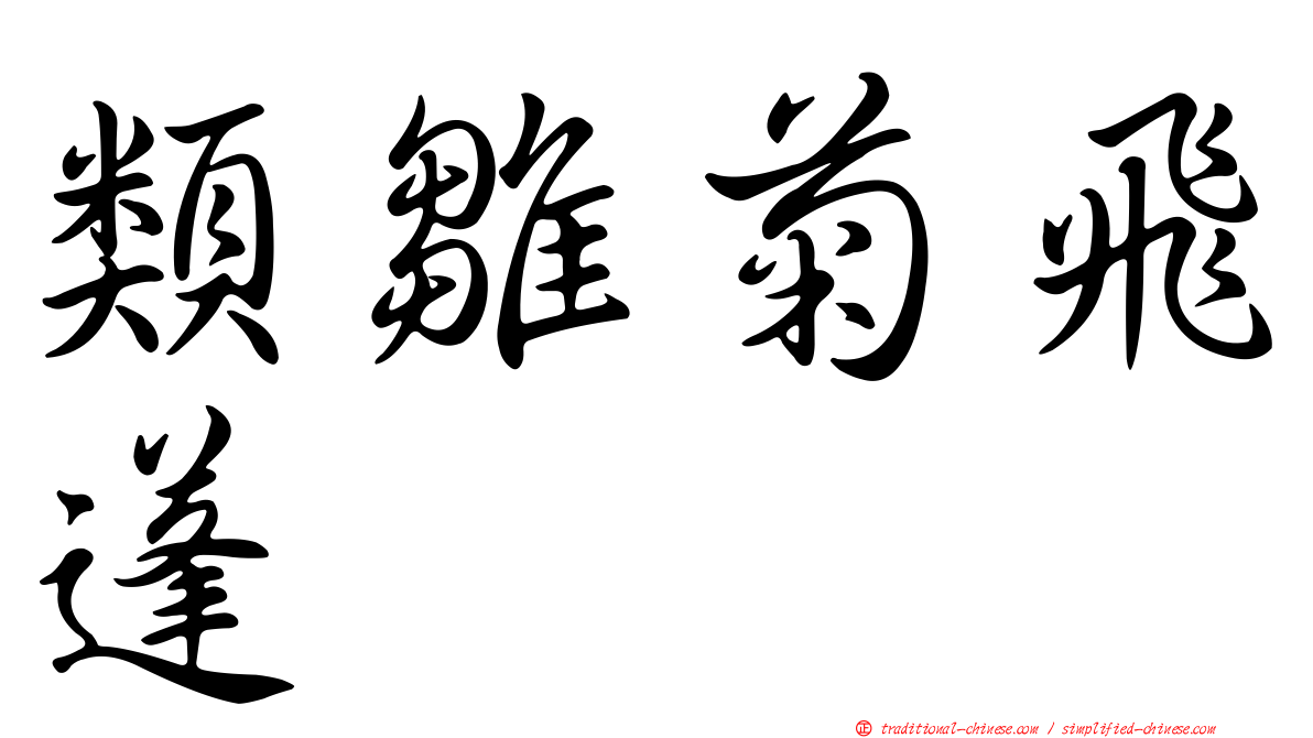 類雛菊飛蓬