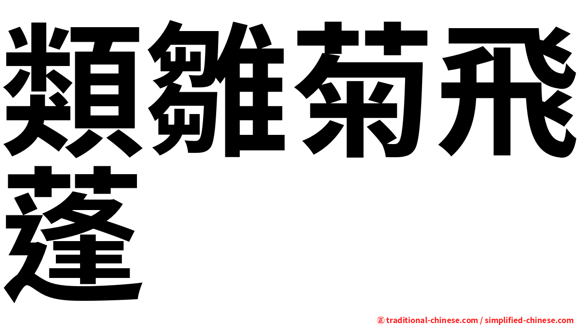 類雛菊飛蓬