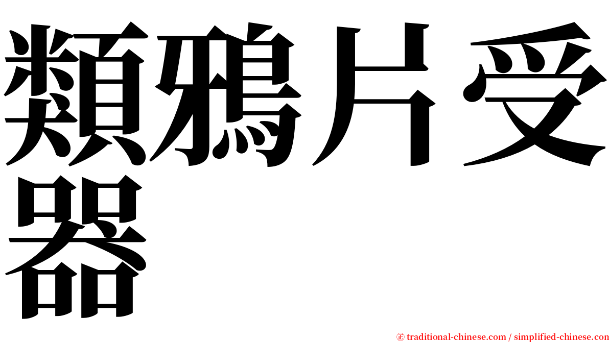類鴉片受器 serif font