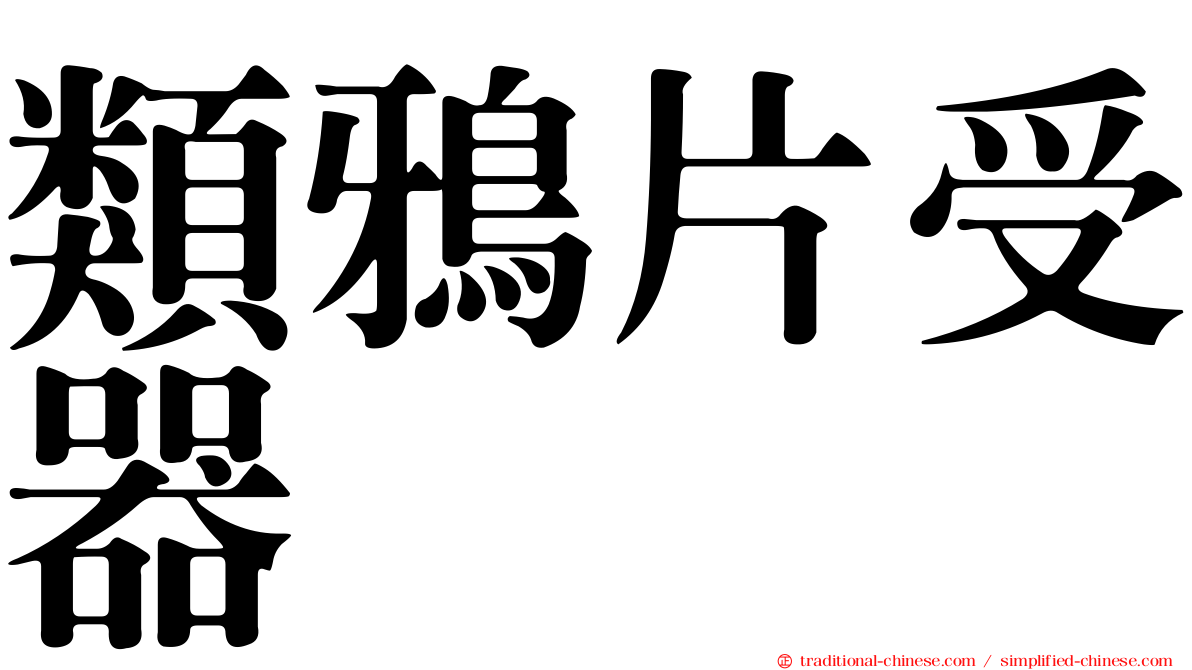 類鴉片受器