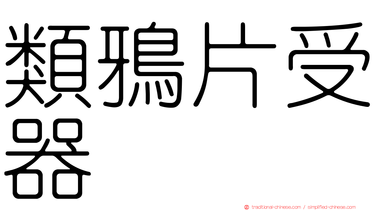 類鴉片受器