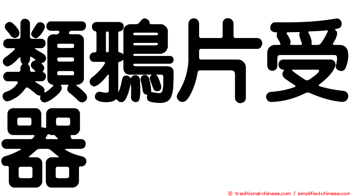 類鴉片受器