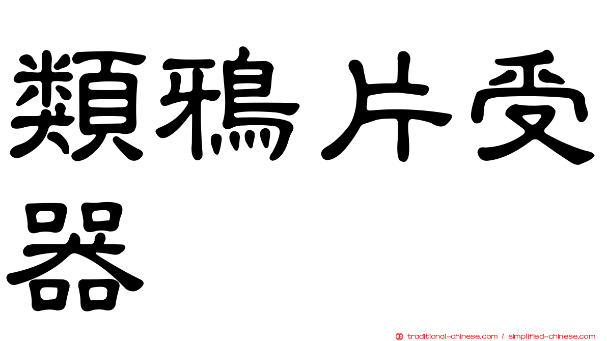類鴉片受器