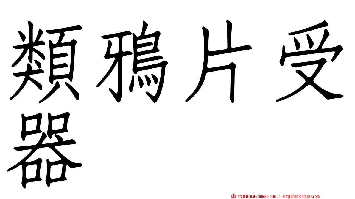 類鴉片受器