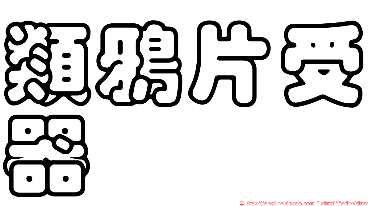 類鴉片受器