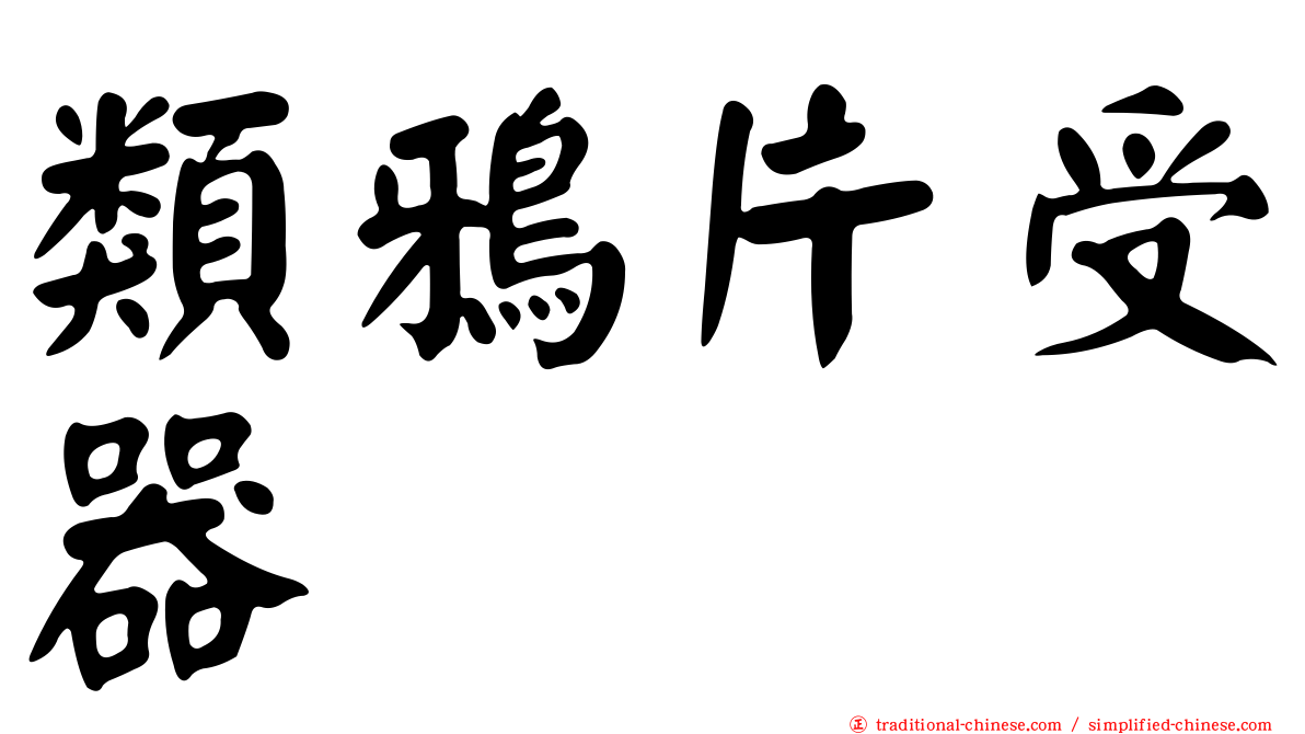 類鴉片受器