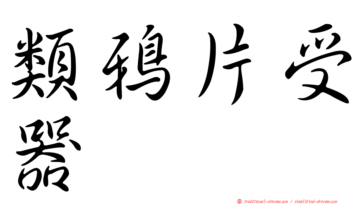 類鴉片受器
