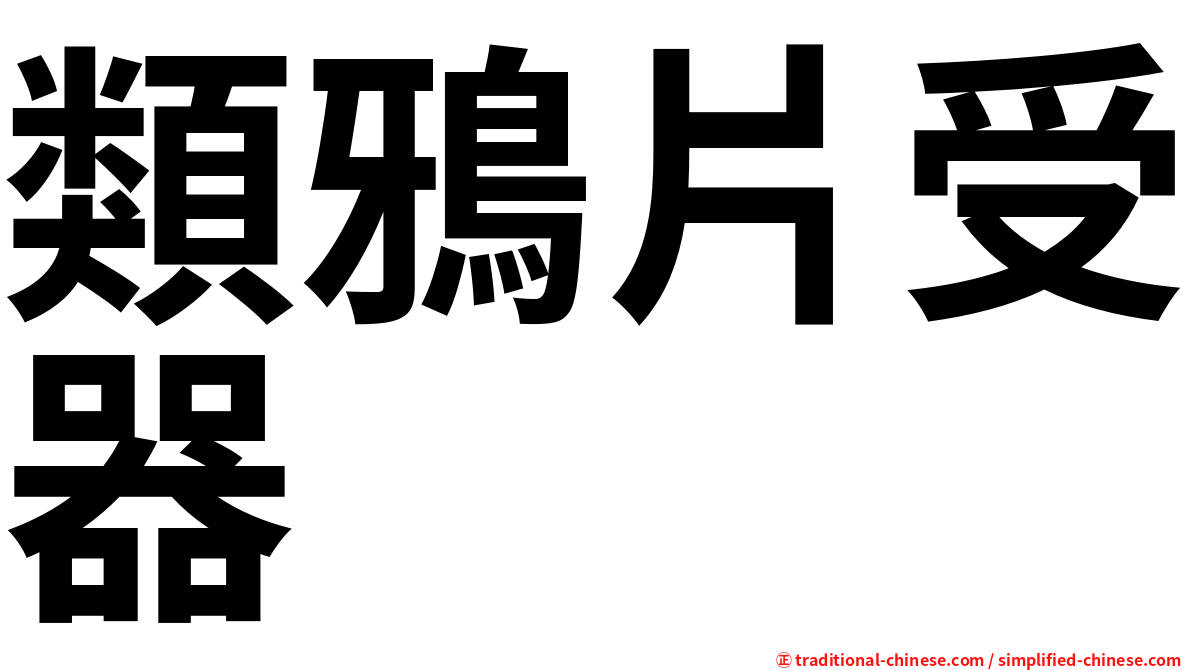 類鴉片受器