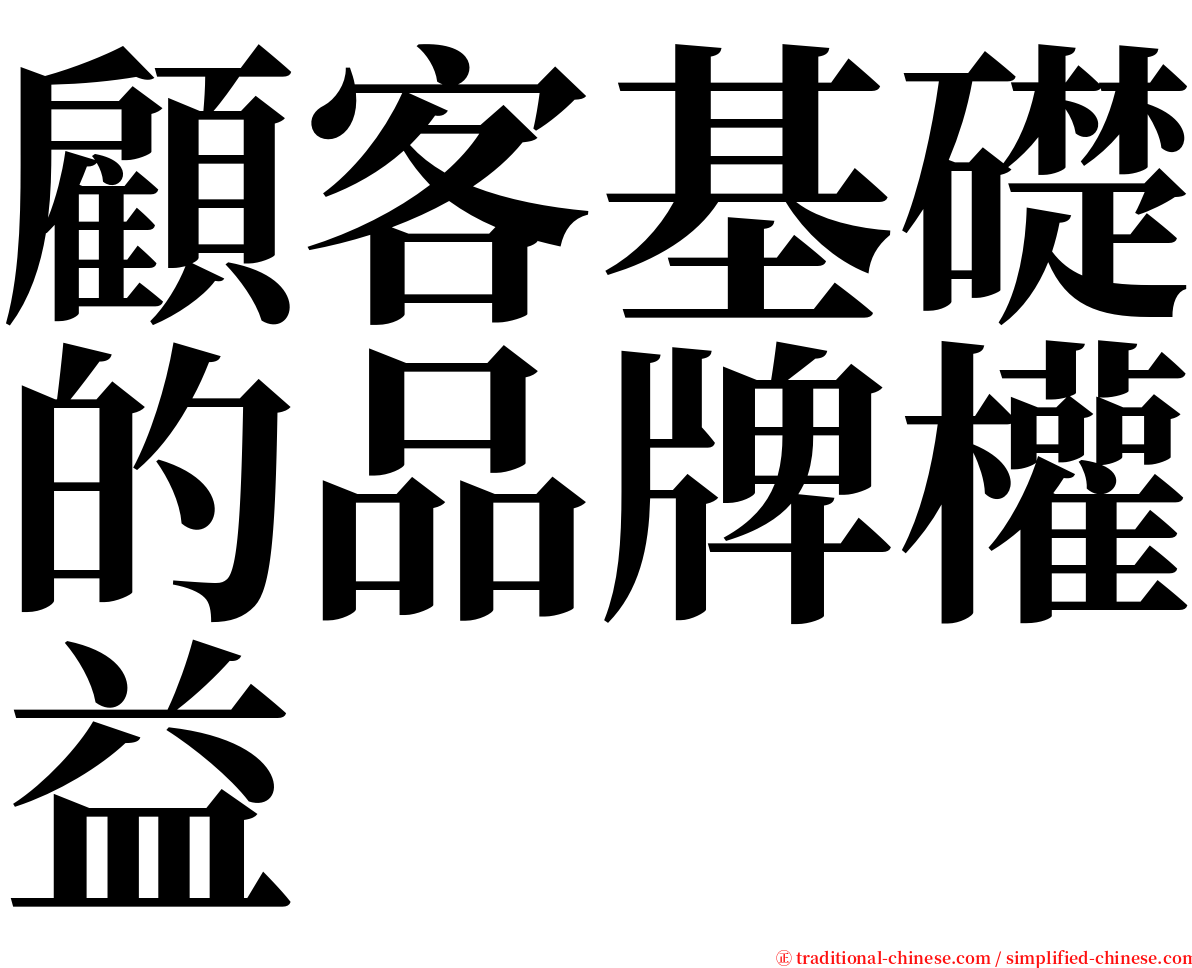 顧客基礎的品牌權益 serif font