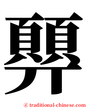 顨 serif font