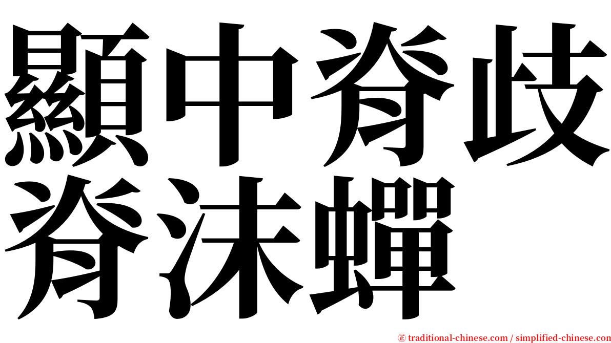 顯中脊歧脊沫蟬 serif font