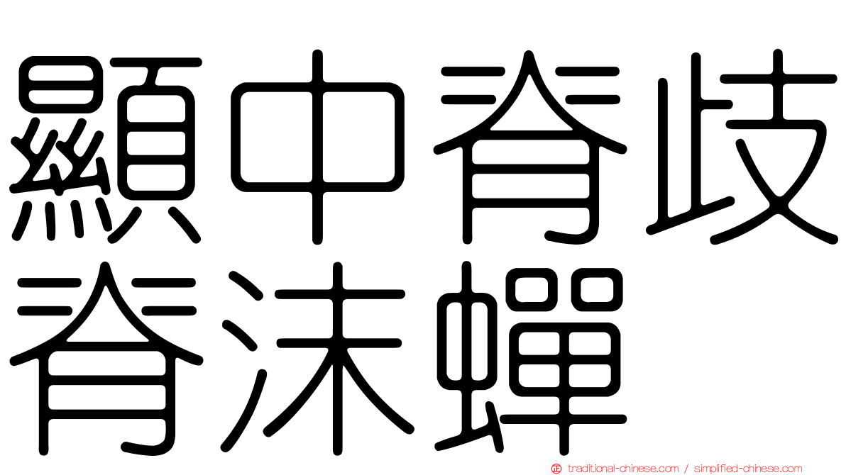 顯中脊歧脊沫蟬