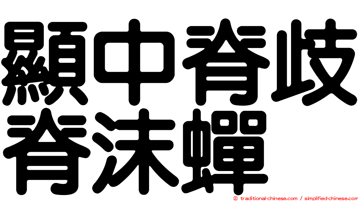 顯中脊歧脊沫蟬