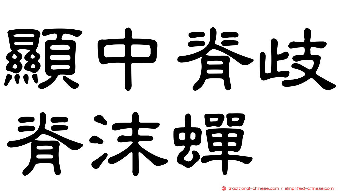 顯中脊歧脊沫蟬