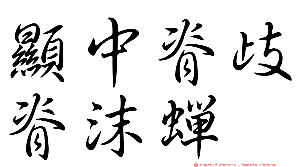 顯中脊歧脊沫蟬
