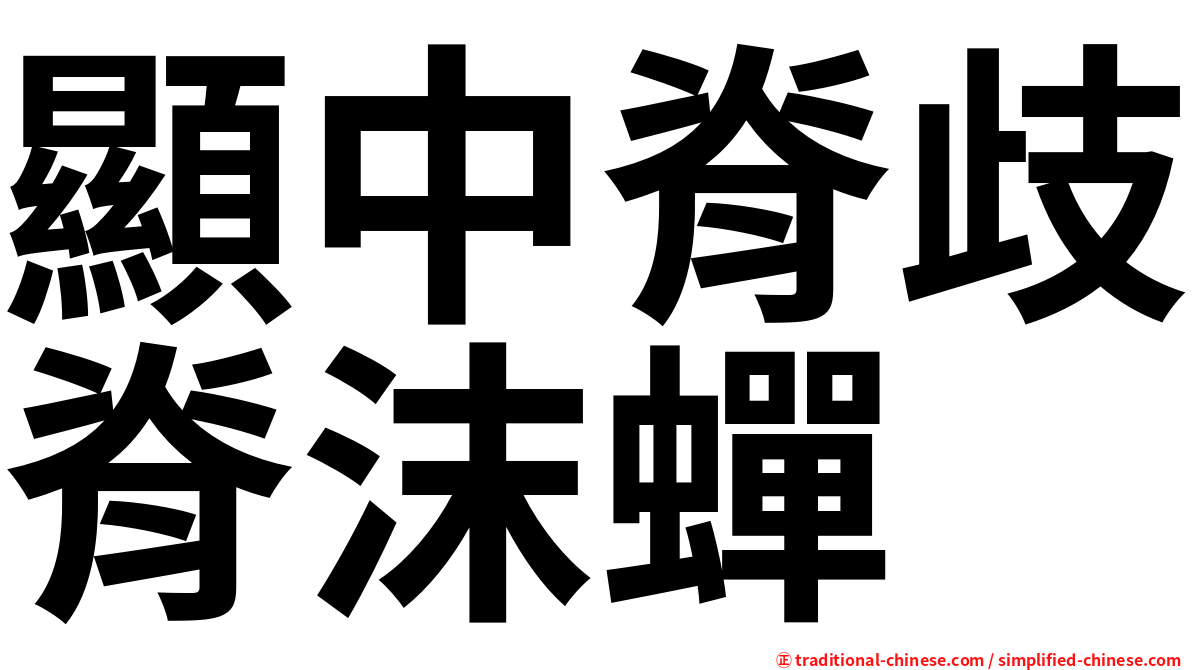 顯中脊歧脊沫蟬