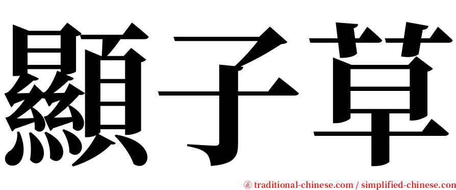顯子草 serif font