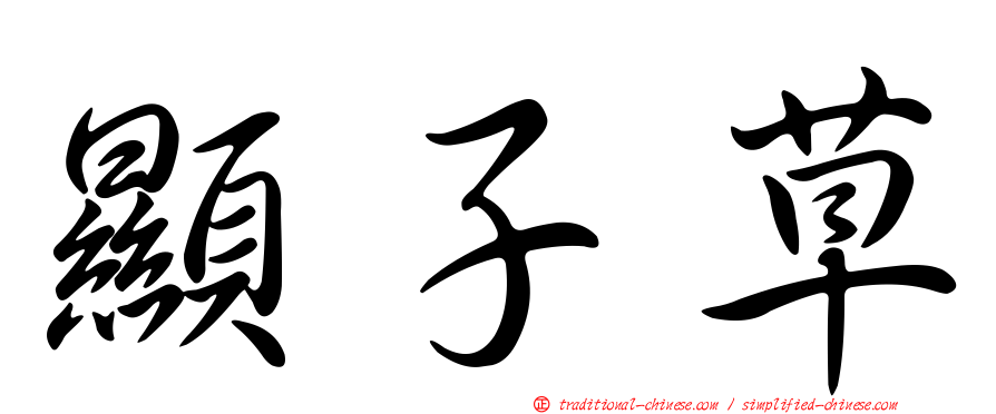 顯子草