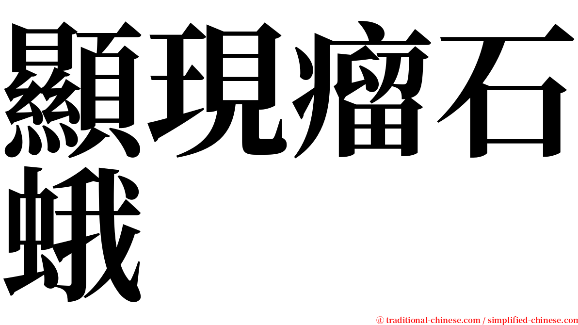 顯現瘤石蛾 serif font