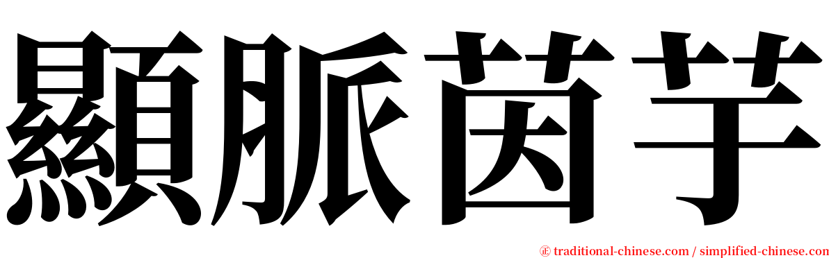顯脈茵芋 serif font