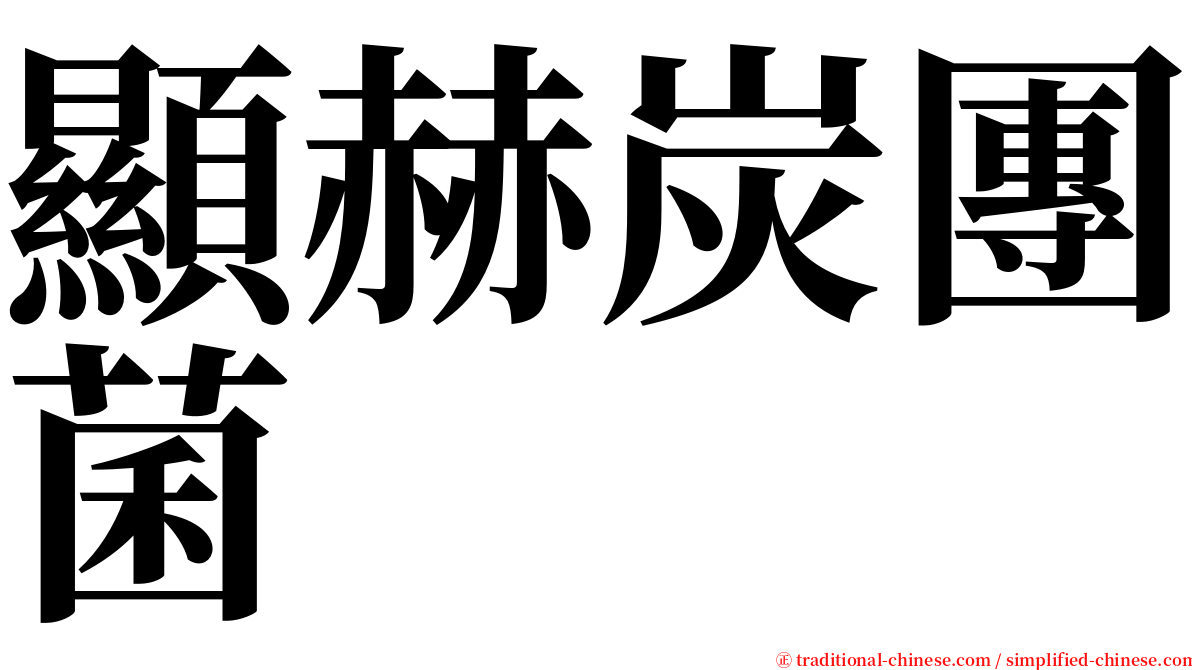 顯赫炭團菌 serif font