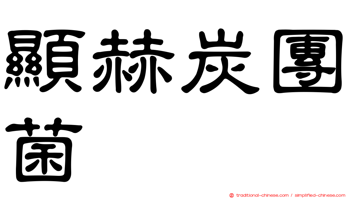 顯赫炭團菌