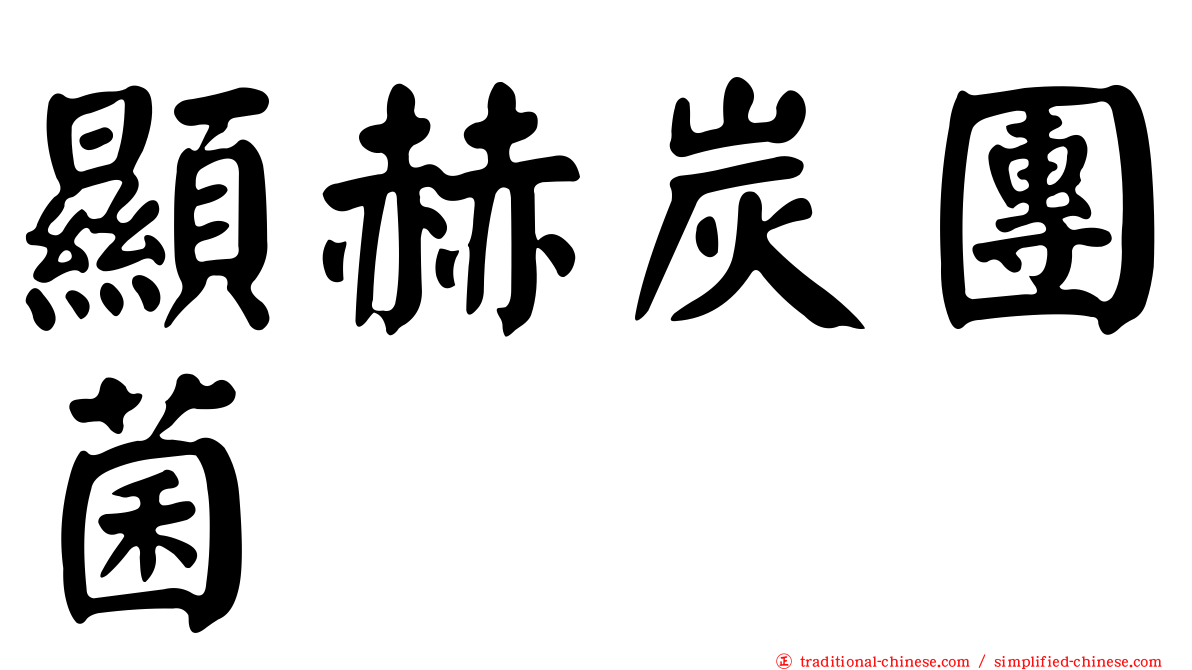 顯赫炭團菌